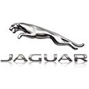 Jaguar 1